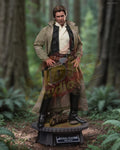 Brand New🔥 Hot Toys MMS740 Star Wars Return of the Jedi Han Solo 1/6 Scale Collectible Figure Set