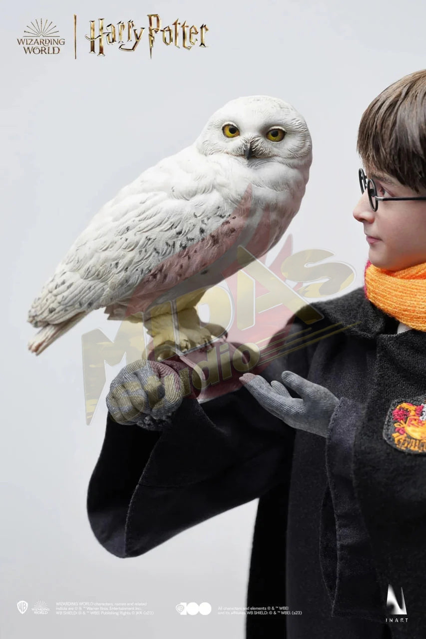 Brand New🔥INART 1/6 Scale Harry Potter (Hogwarts Uniform, Premium Version) A006P1