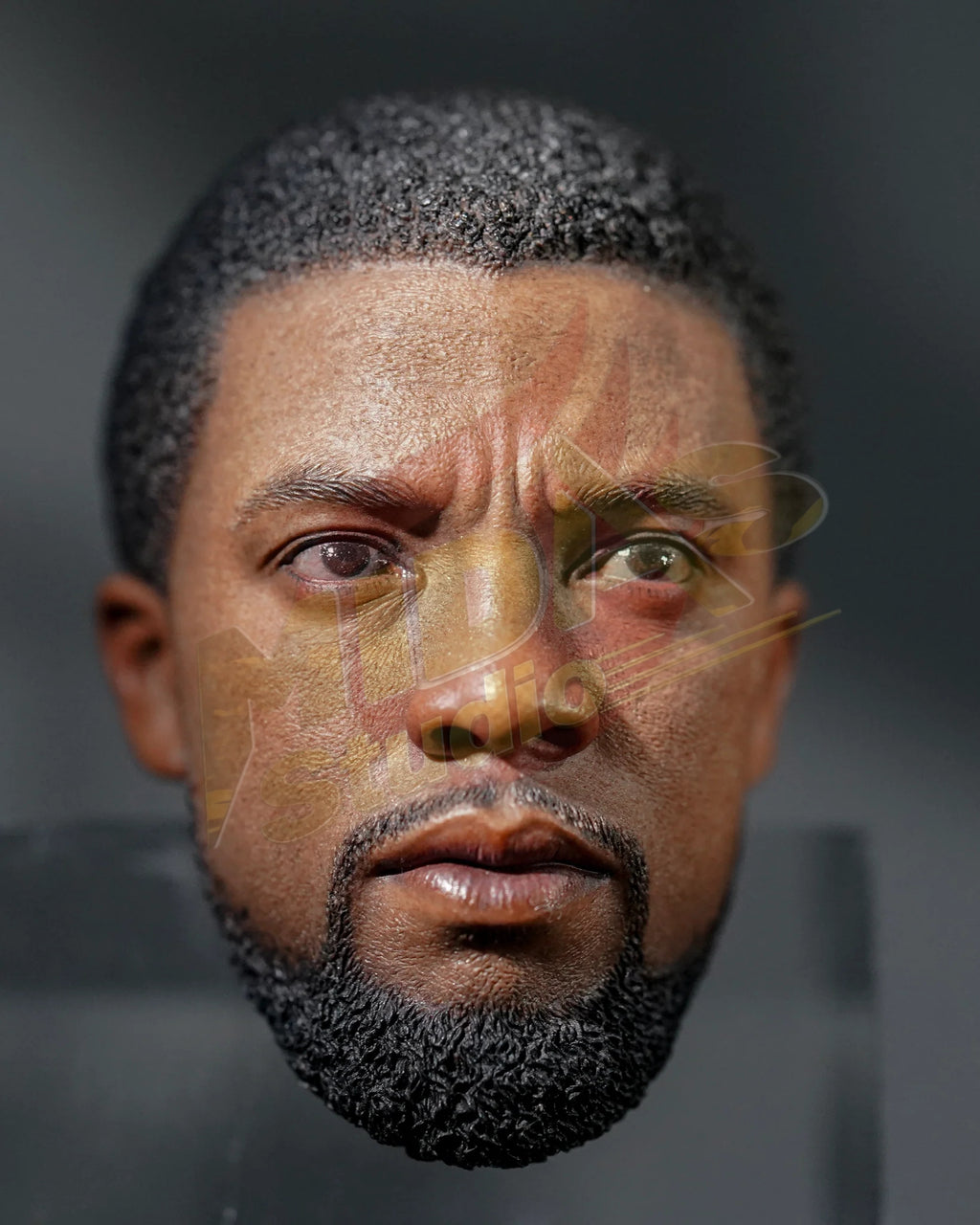 Brand New🔥 Hot Toys 1/6 Scale Black Panther Legacy Black Panther (Original Suit) Collectible Figure (MMS671)