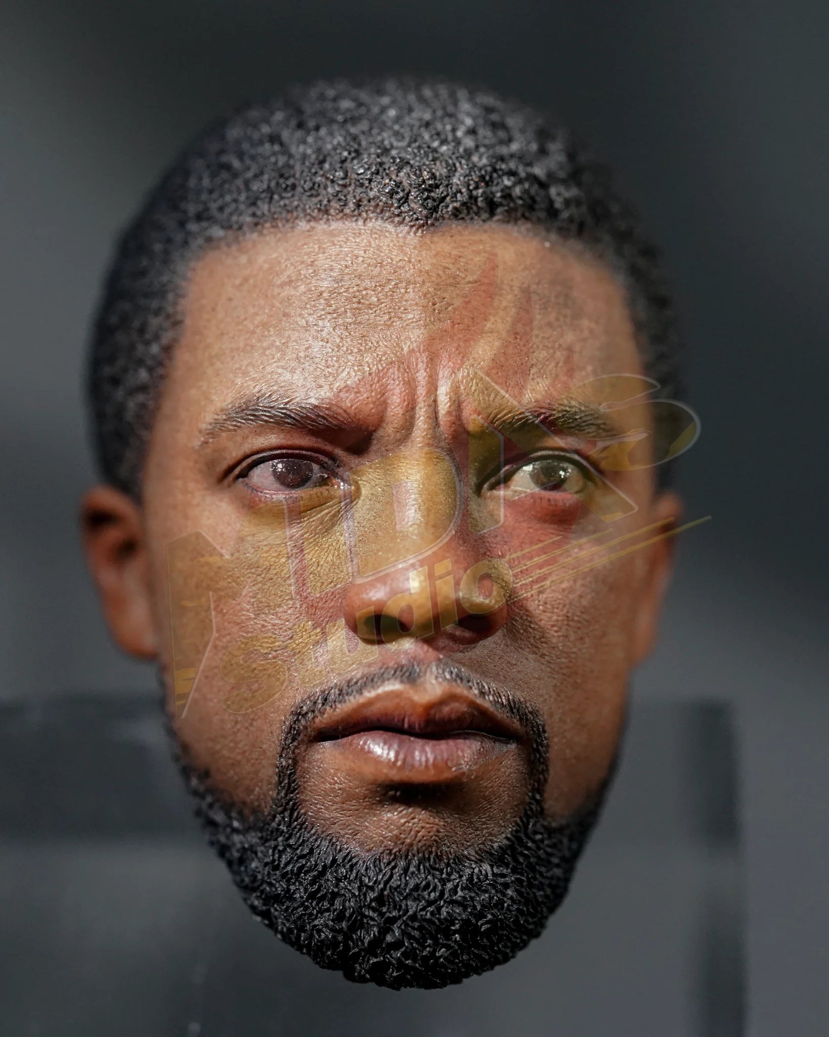 Brand New🔥 Hot Toys 1/6 Scale Black Panther Legacy Black Panther (Original Suit) Collectible Figure (MMS671)