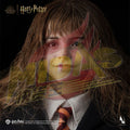READY🔥InArt A011D1 Harry Potter and the Philosopher’s Stone - Hermione Granger 1/6 Figure Deluxe Version