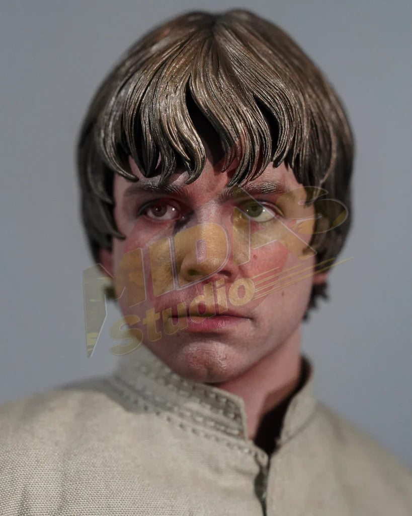 Brand New🔥 Hot Toys 1/6 Scale Star Wars: The Empire Strikes Back Luke Skywalker Bespin Collectible Figure (Deluxe Edition, DX25)