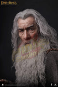 Brand New🔥INART 1/6 Scale The Lord of the Rings Gandalf