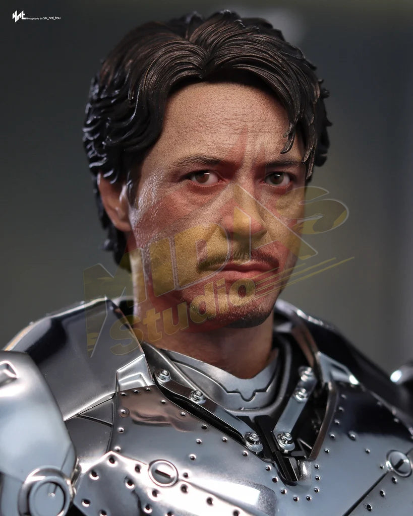 Brand New🔥 Hot Toys 1/6 Scale Iron Man Iron Man Mark 2 Collectible Figure (MMS733D59)