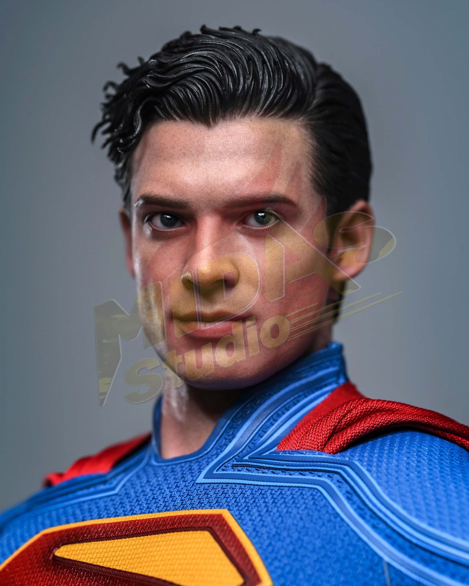Brand New🔥 Hot Toys 1/6 Scale Superman - Superman & Krypto Collectible Set (MMS812)