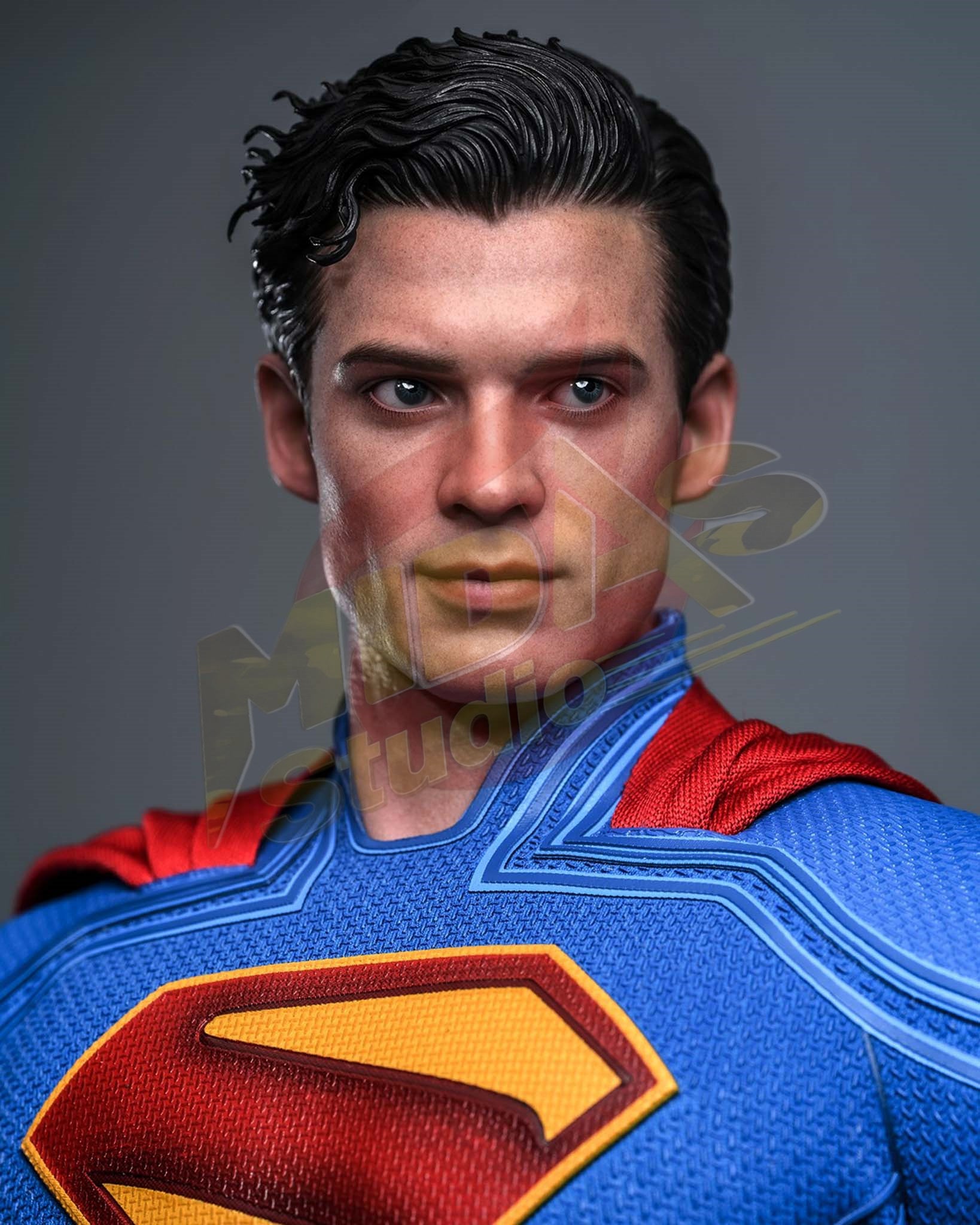 Brand New🔥 Hot Toys 1/6 Scale Superman - Superman & Krypto Collectible Set (MMS812)