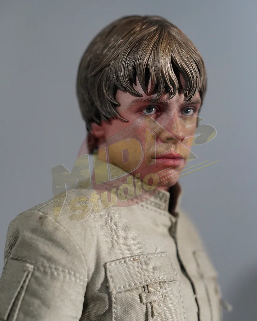 Brand New🔥 Hot Toys 1/6 Scale Star Wars: The Empire Strikes Back Luke Skywalker Bespin Collectible Figure (Deluxe Edition, DX25)