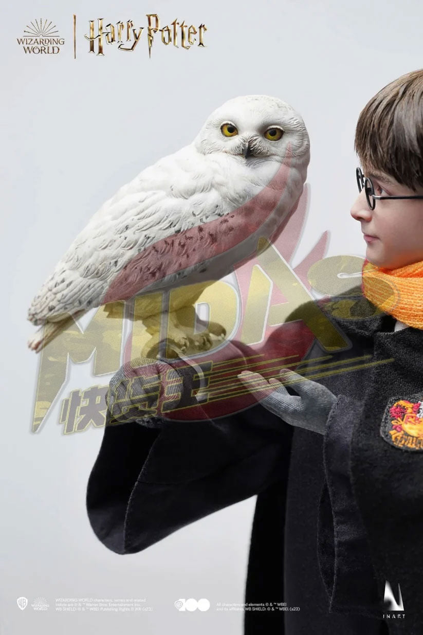 INART A006P1 🔥Harry Potter and the Philosopher’s Stone Harry Potter Hogwarts Uniform 1/6 (Premium Version)