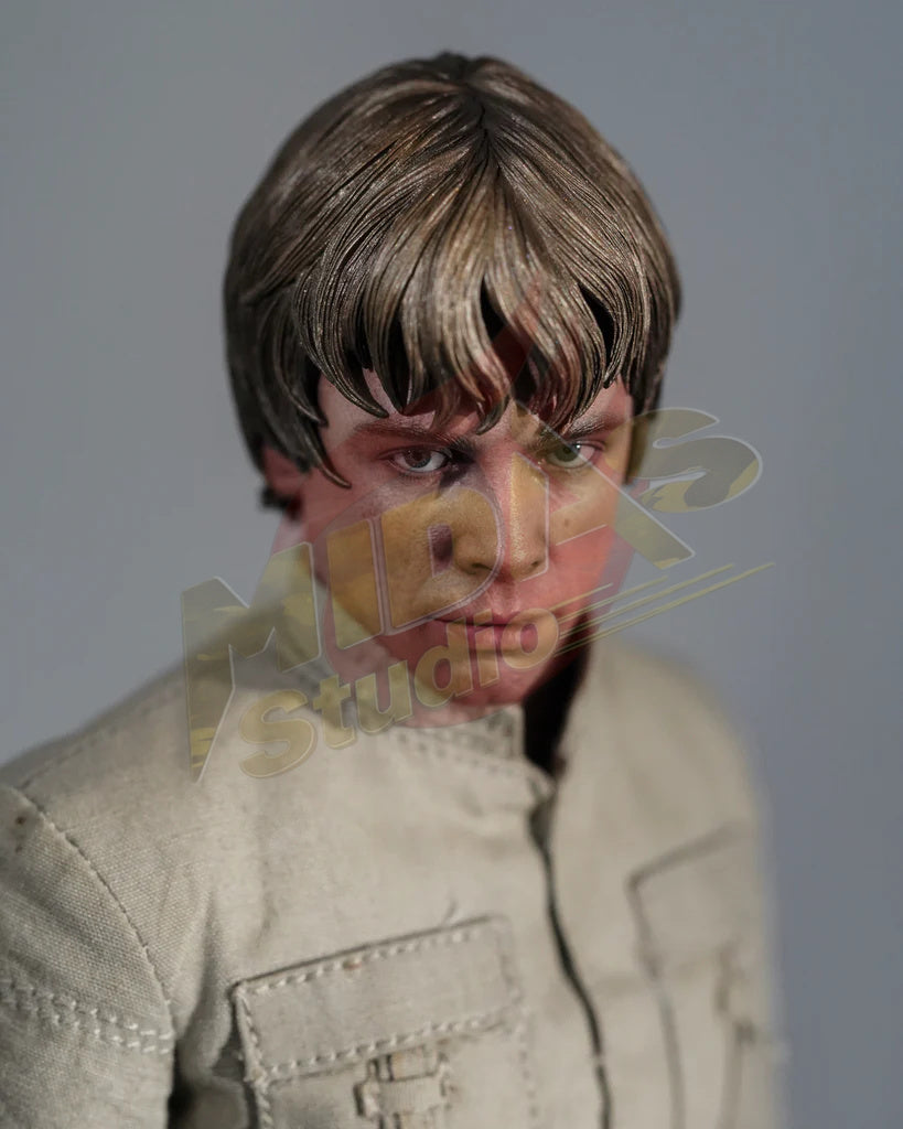 Brand New🔥 Hot Toys 1/6 Scale Star Wars: The Empire Strikes Back Luke Skywalker Bespin Collectible Figure (Deluxe Edition, DX25)