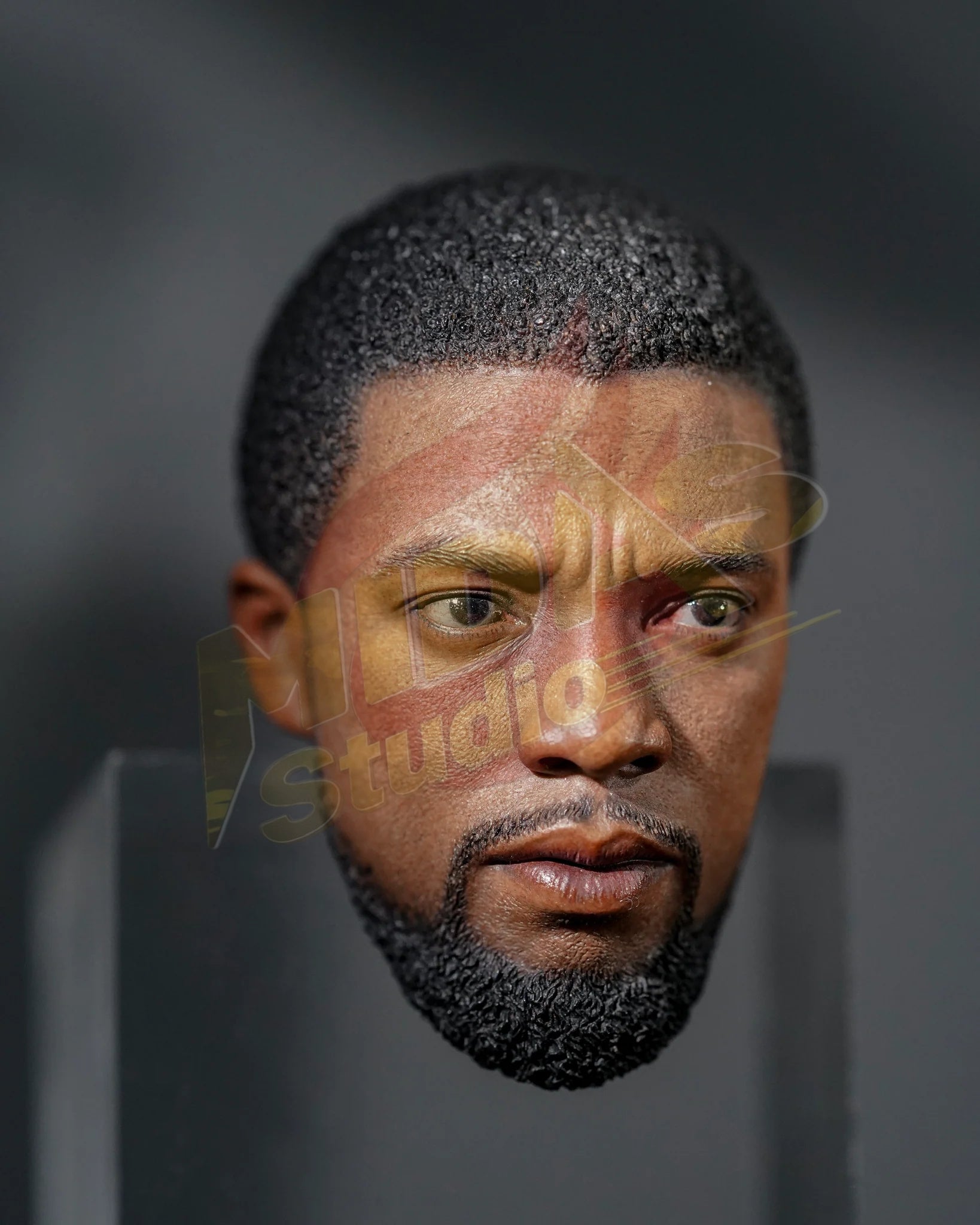 Brand New🔥 Hot Toys 1/6 Scale Black Panther Legacy Black Panther (Original Suit) Collectible Figure (MMS671)