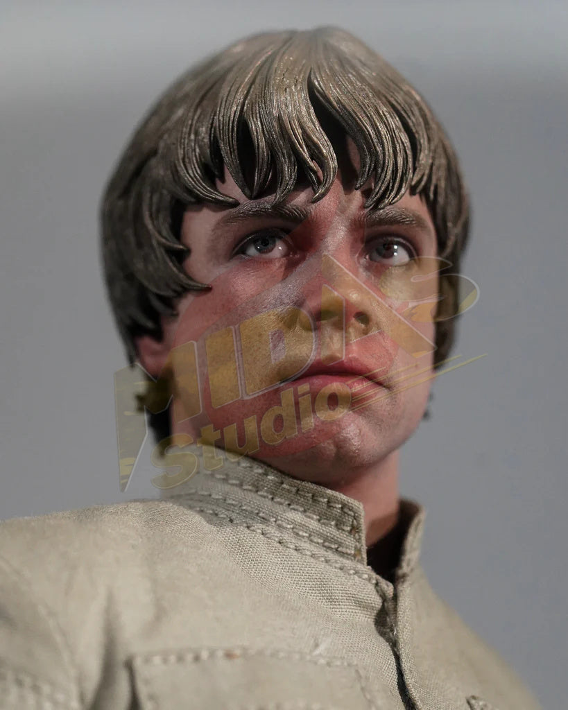 Brand New🔥 Hot Toys 1/6 Scale Star Wars: The Empire Strikes Back Luke Skywalker Bespin Collectible Figure (Deluxe Edition, DX25)