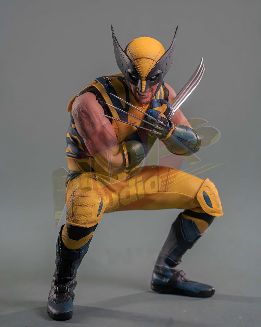 Brand New🔥 Hot Toys 1/6 Scale Deadpool and Wolverine Wolverine (Deluxe Edition, MMS754) Collectible Figure