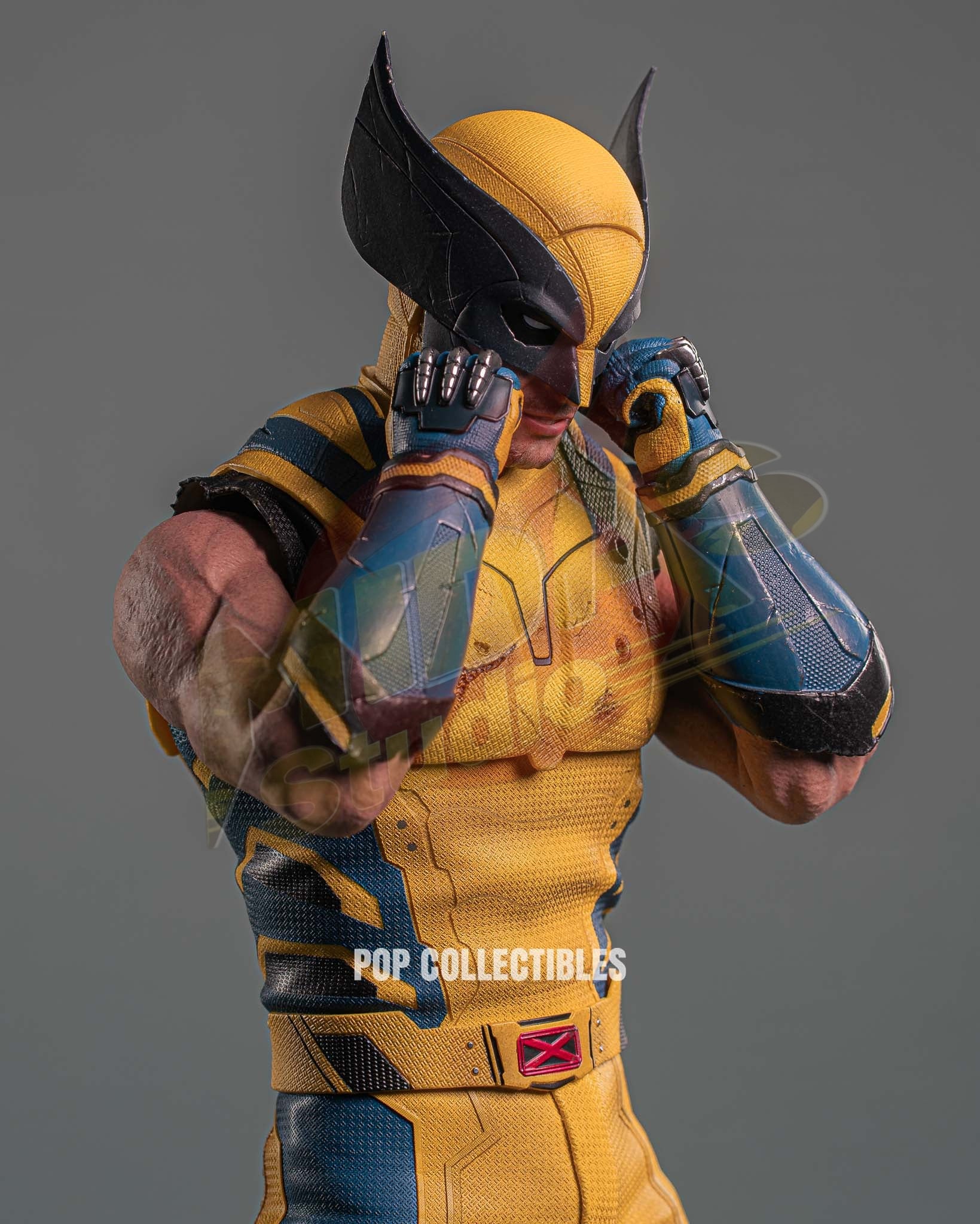 Brand New🔥 Hot Toys 1/6 Scale Deadpool and Wolverine Wolverine (Deluxe Edition, MMS754) Collectible Figure