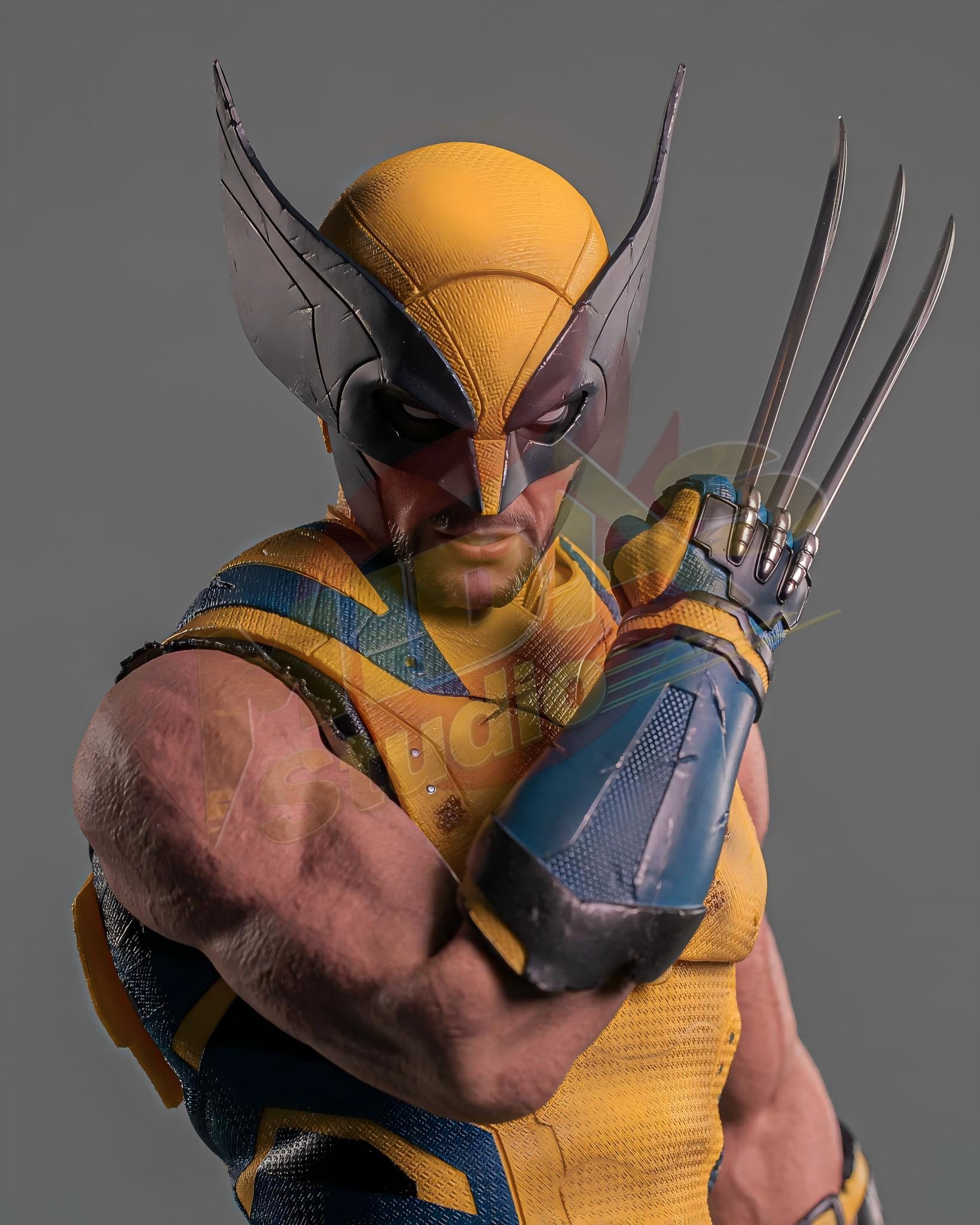 Brand New🔥 Hot Toys 1/6 Scale Deadpool and Wolverine Wolverine (Deluxe Edition, MMS754) Collectible Figure