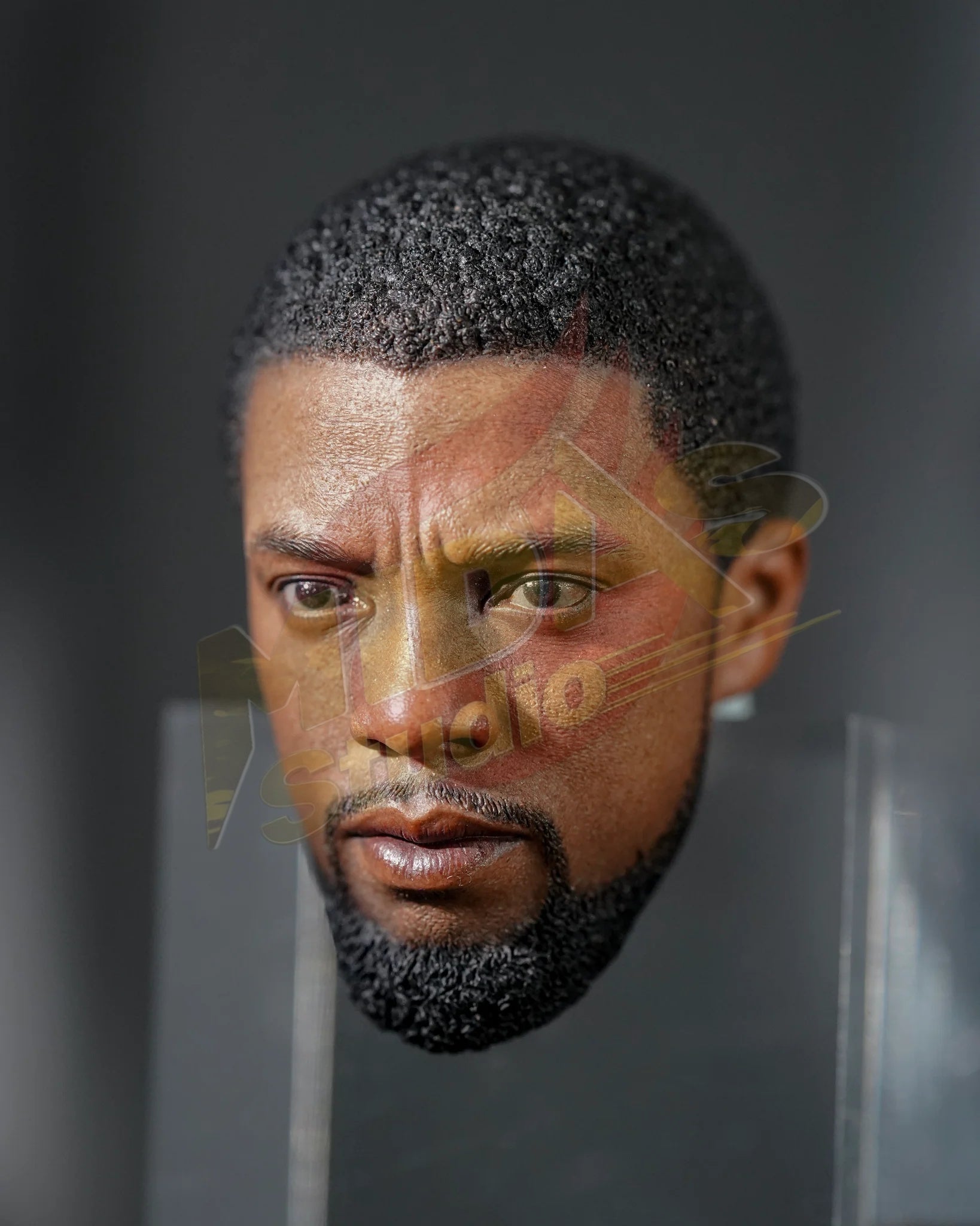 Brand New🔥 Hot Toys 1/6 Scale Black Panther Legacy Black Panther (Original Suit) Collectible Figure (MMS671)