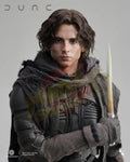 Brand New🔥INART 1/6 Scale Dune Paul Atreides (Deluxe Version, WITHOUT Desert Mouse) A009D1