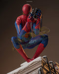 Brand New🔥 Hot Toys 1/6 Scale The Amazing Spider-Man Collectible Figure (Deluxe Version, Special Edition, MMS772B)