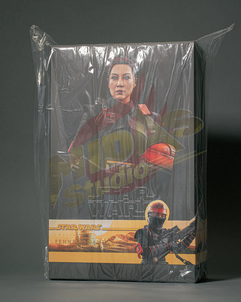 Brand New🔥 Hot Toys 1/6 Scale Star Wars: The Book of Boba Fett Fennec Shand Collectible Figure (TMS068)